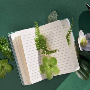 Istockphoto 1368559672 612x612