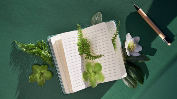Istockphoto 1368559672 612x612