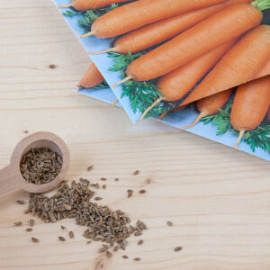 Carrot seeds for a vegetable garden on a wooden background.