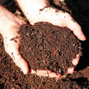 Horse manure compost in hands