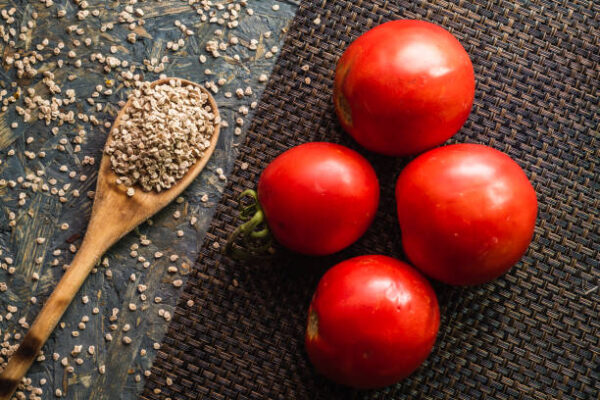 Tomatoes seeds and melon on blue wooden background